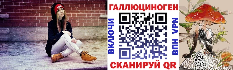 Галлюциногенные грибы GOLDEN TEACHER  Дубовка 
