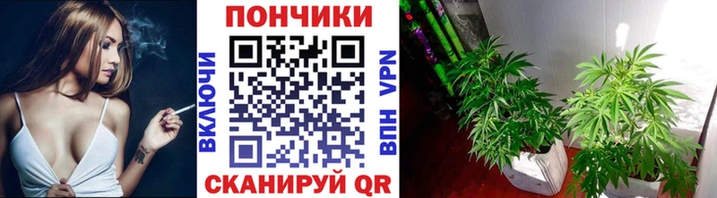 закладки  ОМГ ОМГ ССЫЛКА  МАРИХУАНА тримм  Дубовка 